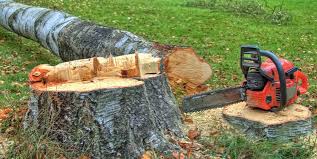 Best Utility Line Clearance  in Janesville, IA